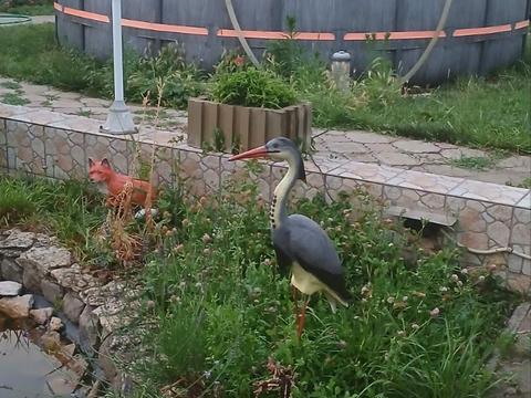 дом по адресу Матвеевка