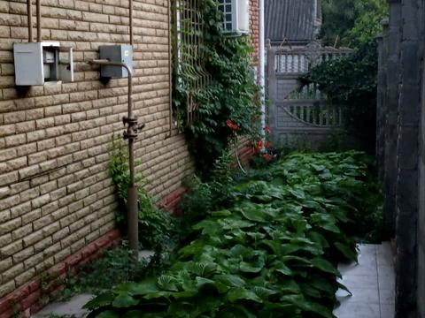 дом по адресу Матвеевка