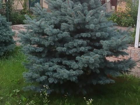 дом по адресу Матвеевка