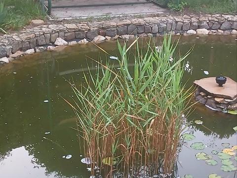 дом по адресу Матвеевка