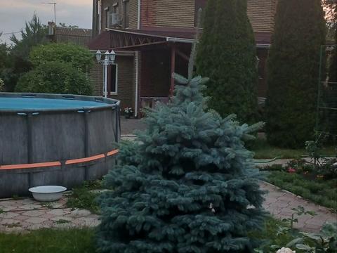 дом по адресу Матвеевка