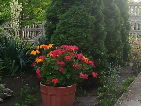 дом по адресу Матвеевка