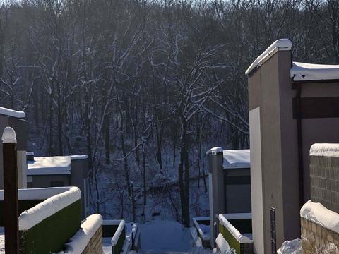 будинок за адресою Лісова вул., 46