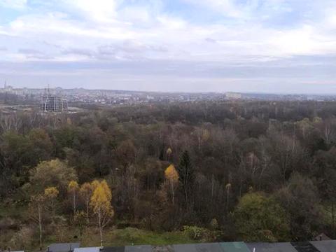 квартира за адресою Стрийська вул., 115