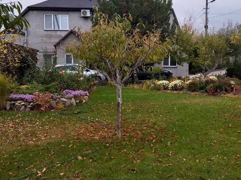 будинок за адресою Дніпро, садова