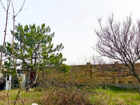 будинок за адресою с. Алтестове, отдых