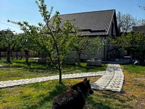 будинок за адресою с. Піщанка, Мазніченко