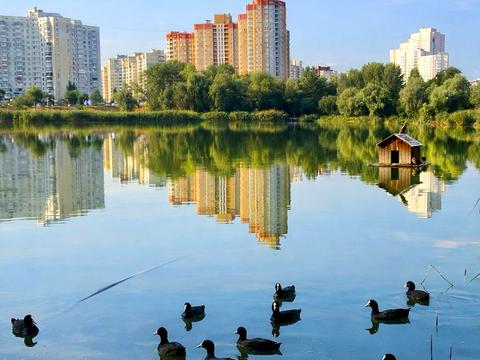 квартира за адресою Олександра Мишуги вул., 2