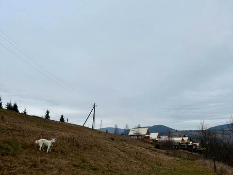 ділянка за адресою Горіншня