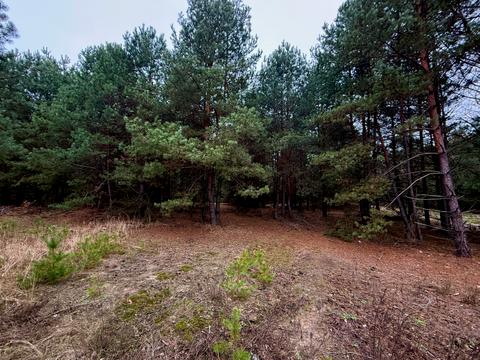 будинок за адресою Шевченка