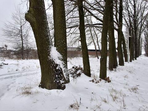 участок по адресу Ивана Гонты ул.
