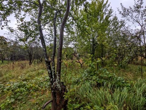 будинок за адресою Петрикова