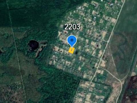 будинок за адресою Петрикова