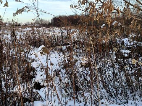 ділянка за адресою 