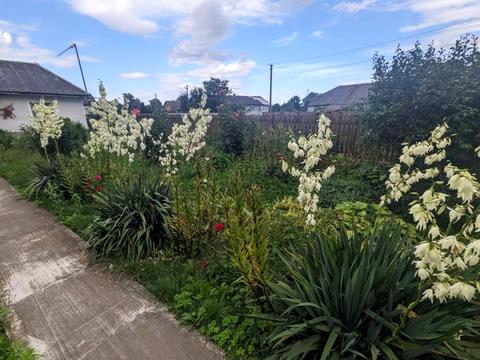 будинок за адресою Миру