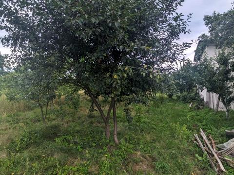 будинок за адресою Миру