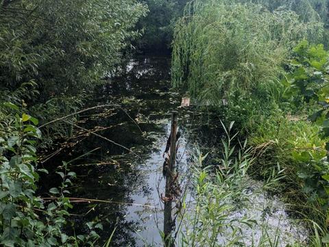 будинок за адресою Миру