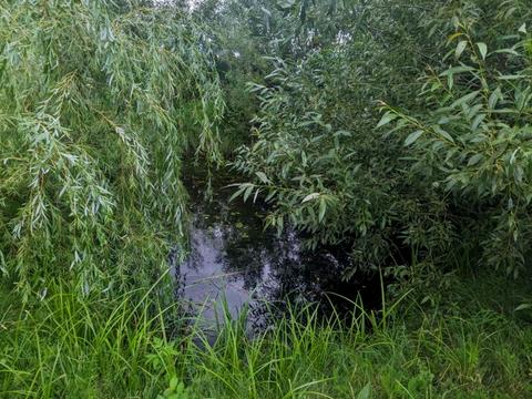 будинок за адресою Миру