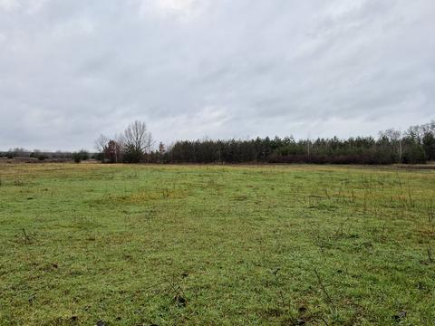 ділянка за адресою с. Шибене, Кооперативна вул.