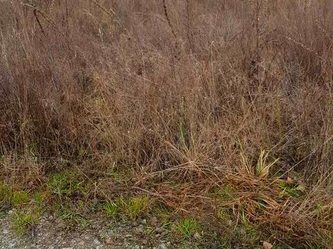 ділянка за адресою Стадіонна, 34