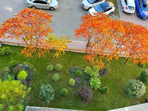 квартира за адресою Анни Ахматової вул., 22