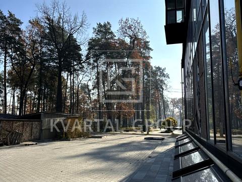 комерційна за адресою Матвія Донцова вул. (Тургенєвська), 24