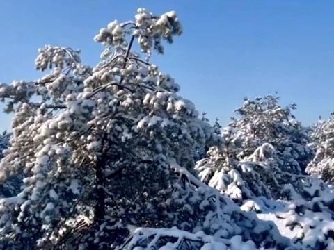 ділянка за адресою с. Феневичі, 