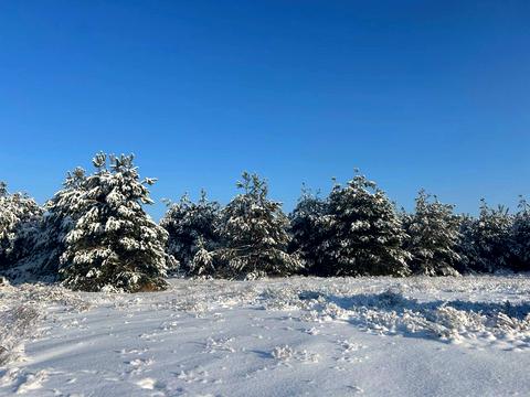 ділянка за адресою с. Феневичі, 