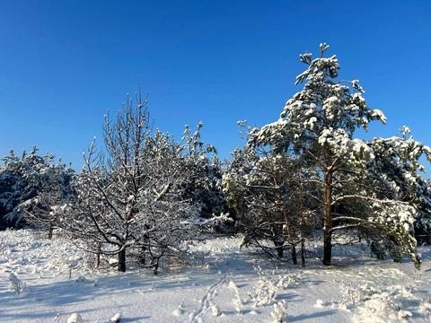 ділянка за адресою с. Феневичі, 