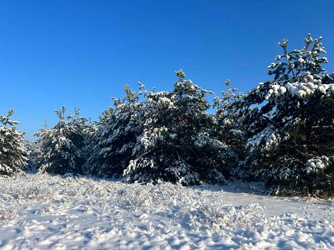 ділянка за адресою с. Феневичі, 