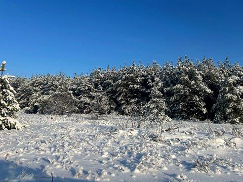 ділянка за адресою с. Феневичі, 