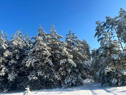 ділянка за адресою с. Феневичі, 