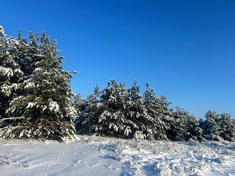 ділянка за адресою с. Феневичі, 