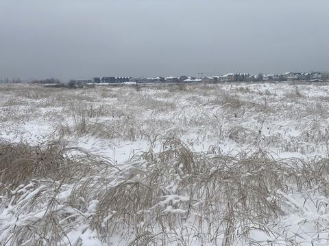 участок по адресу Майбороди Платона, 48