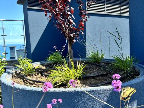 квартира за адресою Курортний пров., 1в