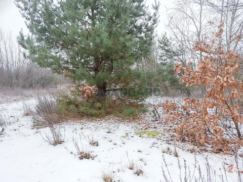 участок по адресу Соборна, 70