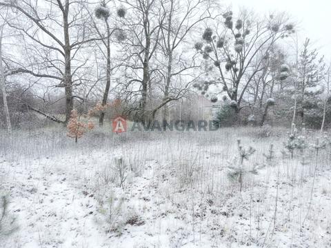 участок по адресу Соборна, 70