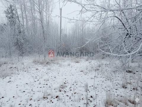участок по адресу Соборна, 70