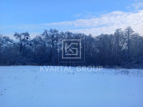 ділянка за адресою Орлика