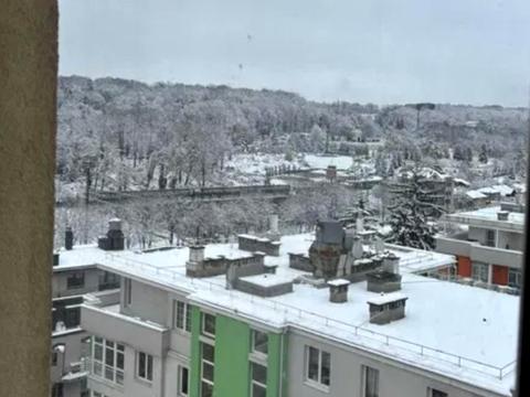 квартира за адресою Погулянка вул., 4