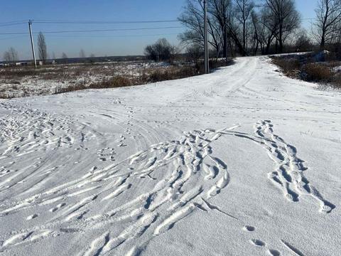 будинок за адресою Садова вул.