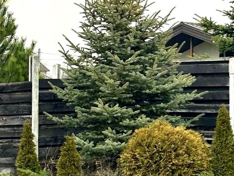 будинок за адресою Білецького вул.