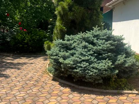 будинок за адресою Абрикосовая