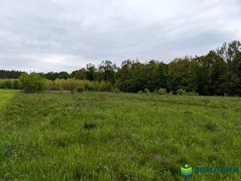 участок по адресу 