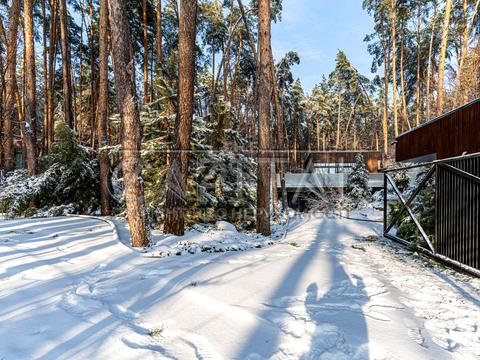 дом по адресу Центральная ул.