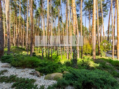 дом по адресу с. Гнедин, Центральная ул., 47