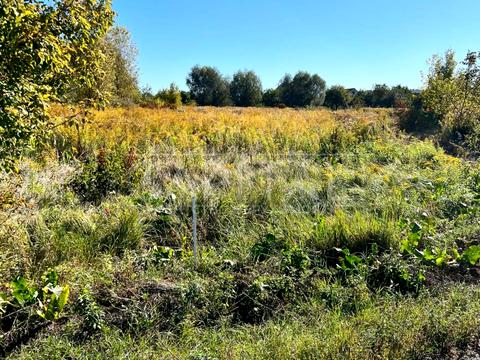 ділянка за адресою Озерна вул.