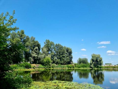 будинок за адресою с. Осещина, Корабельная