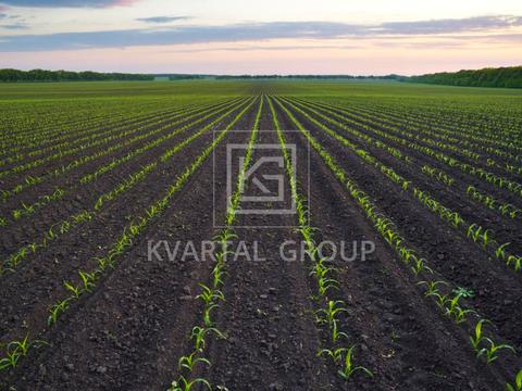 участок по адресу Независимости ул.