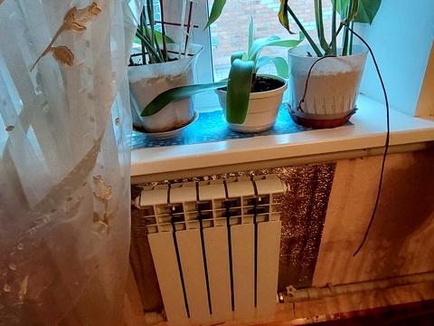 будинок за адресою Вишнева, 10